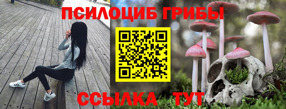 Псилоцибиновые грибы мицелий  Галлюциногенные грибы MAGIC MUSHROOMS  Вход с VPN  Алапаевск 